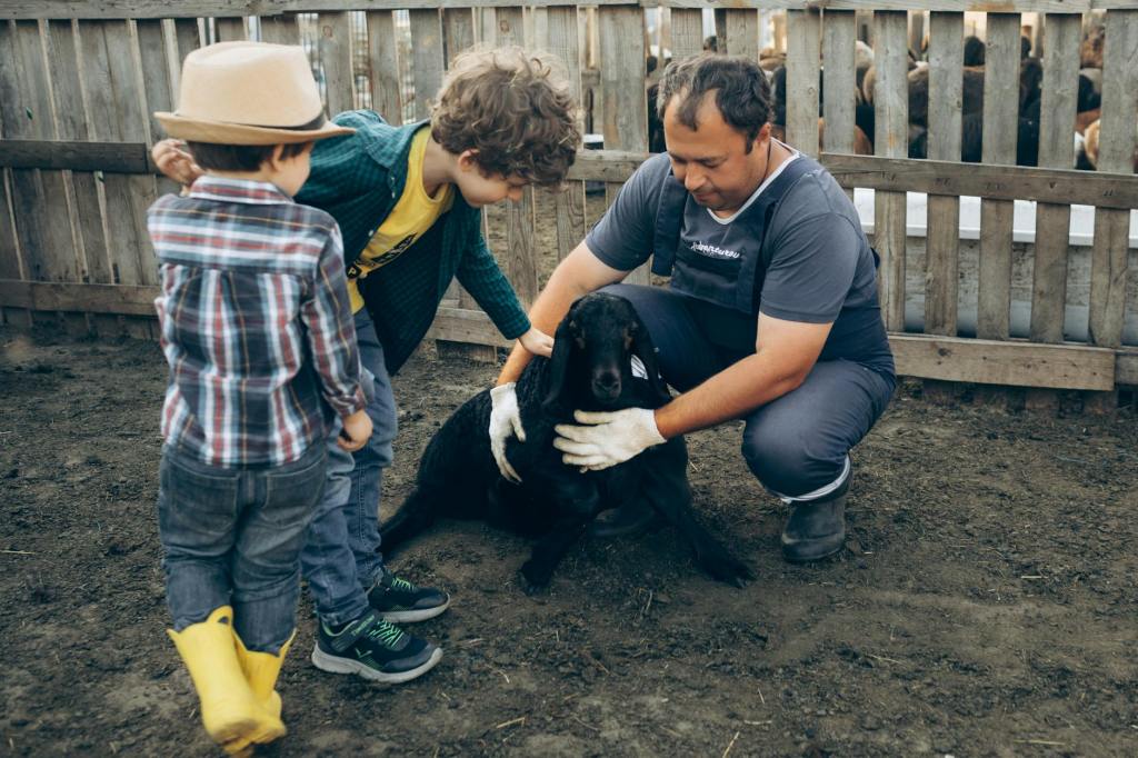 Beyond Human Suffering: Why Compassion for Animals&nbsp;Matters